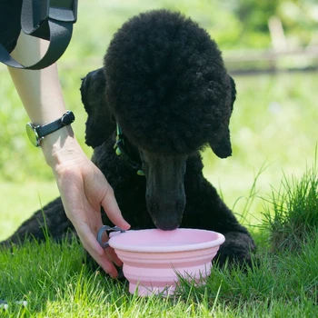 Consumabile pentru câini de Companie Boluri cu Snap Hook pentru a Călători Recipiente Alimentare Alimentatoare și consumatorii de alcool Portabil Pliant din Silicon Castron pentru Câini