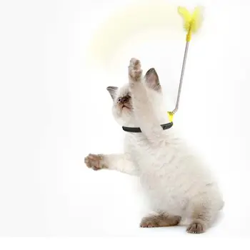 Interactive Pisoi Amuzant Exercițiu Prinde De Joacă În Interior Formare Pentru Animale De Companie Jucării, Produse Pentru Animale De Companie Pisica Teaser Jucarie Pisica Urmarind Jucărie