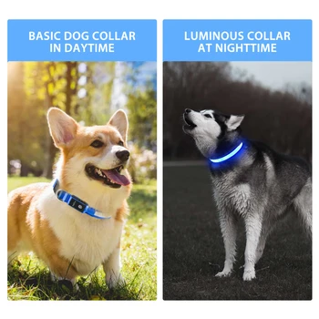 Lumina Luminos Guler pentru animale de Companie LED-uri USB Reîncărcabilă Guler de Câine de Încărcare de Schimbare a Culorii Stralucitoare Caini Zgarda pentru Catel Noapte de Mers pe jos